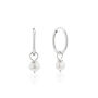 Silver Or Gold Small Pearl Drop Hoop Earrings, thumbnail 2 of 6