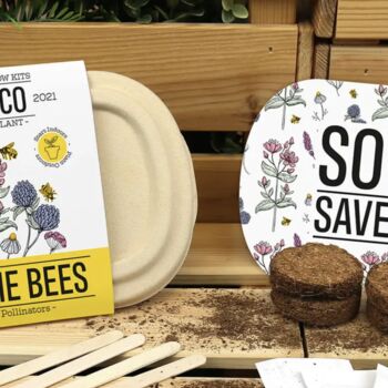 Save The Bees Seed Set, 4 of 5
