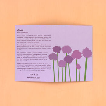 Herb Themed Greetings Card With Chives Seeds, 4 of 5