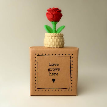 Love Grows Here Tiny Little Gifts Plant Pot Rose, 3 of 5