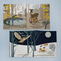 Personalised Rag Book Collection With Bertie Bear, thumbnail 8 of 11
