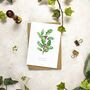 Christmas Botanical Note Card Set, thumbnail 5 of 6