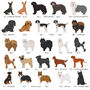 Peronalised Dog Breed Fridge Magnet, thumbnail 7 of 12