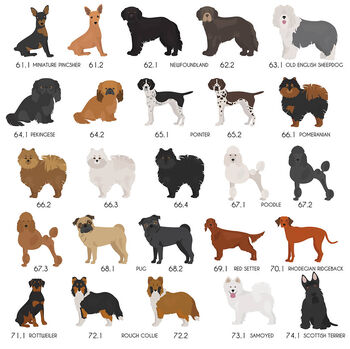 Peronalised Dog Breed Fridge Magnet, 7 of 12