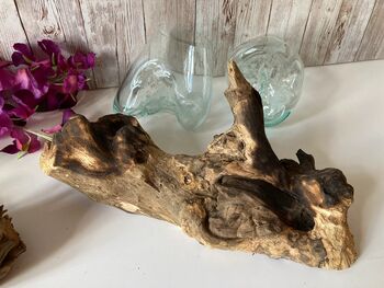 Handcrafted Double Molten Glass On Driftwood Melted Glass Bowl, 7 of 12