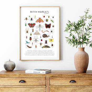 British Minibeasts Print, 2 of 3