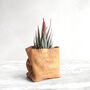 Personalised Wedding Gift Leather Paper Bag Planter With Plant, thumbnail 2 of 4