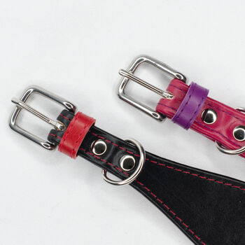 Colour Contrast Leather Whippet Collar, 2 of 11