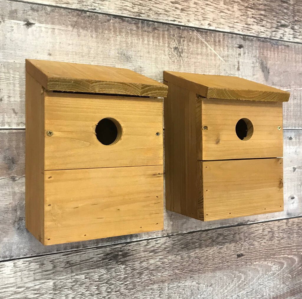 Sparrow Nest Box | Buy Online at Vine House Farm