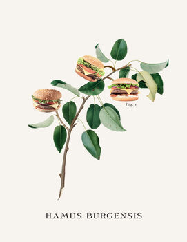 Vintage Style Botanical Burger Print, 5 of 10