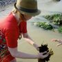 Foraging With Sea Swim And Beach Picnic, thumbnail 3 of 8