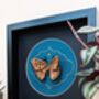 3D Butterfly Embroidery Art Mounted And Framed, thumbnail 3 of 9