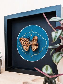 3D Butterfly Embroidery Art Mounted And Framed, 3 of 9