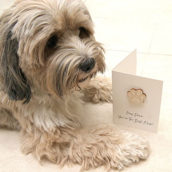 Paws Down Card From The Dog, 5 of 7