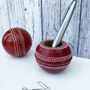 Flipper Genuine Cricket Ball Pencil Pot, thumbnail 4 of 4