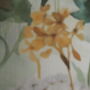 Green And Mustard Dandelion Lampshade, thumbnail 7 of 8