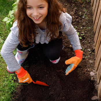 Kids Grow Your Own Veg Patch Kit, 4 of 5