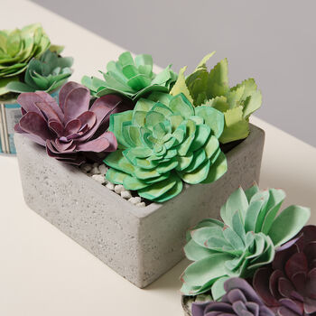 Paper Succulent Making Kit, 2 of 12