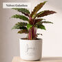 Personalised Birthday Gift For Husband | Add Plant, thumbnail 2 of 6