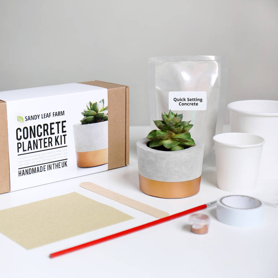 concrete planter making kit by sandy leaf farm | notonthehighstreet.com