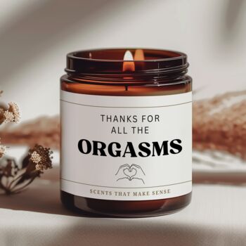Valentines Gifts For Him Thanks For All The Orgasms Funny Candle, 2 of 10