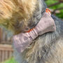Handmade Pet Bow Ties, thumbnail 8 of 9