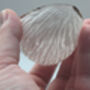 Big Walnut Shells, thumbnail 4 of 4