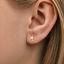Gold Plated Sterling Silver Double Star Stud Earrings, thumbnail 1 of 3