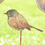 Rusty Robin Garden Art. Iron Garden Ornament, thumbnail 3 of 6