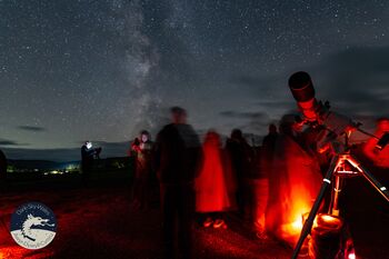 Group Stargazing, 6 of 7