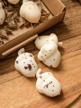 Roasted Chestnut Autumnal Wax Melt Box For Autumn Decor, 3 of 7