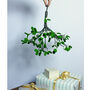 Hanging Organic Felt Mistletoe Decoration, thumbnail 2 of 6