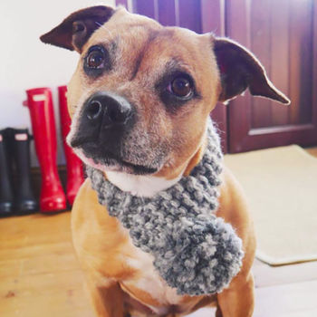 Personalised Hand Knitted Dog Scarf, 2 of 7