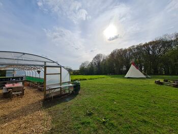 Two Night, Exclusive Site Glamping Experience In Kent, 10 of 12