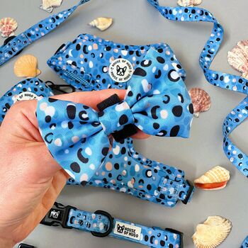 Blue Polka Dot Dog Harness Bundle Collar And Lead Set, 5 of 12