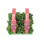 Cyclamen Flame Mixed 12 Plants Garden Ready Packs, thumbnail 5 of 5