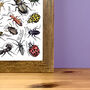 Beetles Of Britain Wildlife Print, thumbnail 9 of 9