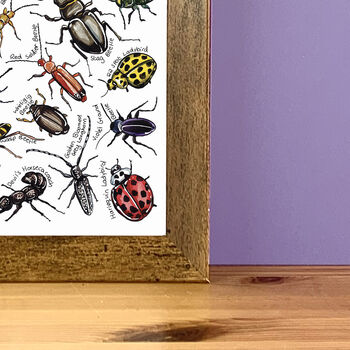 Beetles Of Britain Wildlife Print, 9 of 9