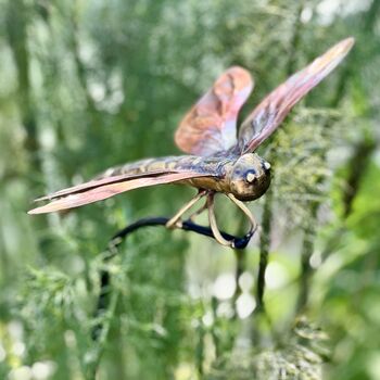 Copper Dragonfly Garden Stake – Outdoor Metal Sculpture – Copper And Brass Insect On Curved Pole, 2 of 7
