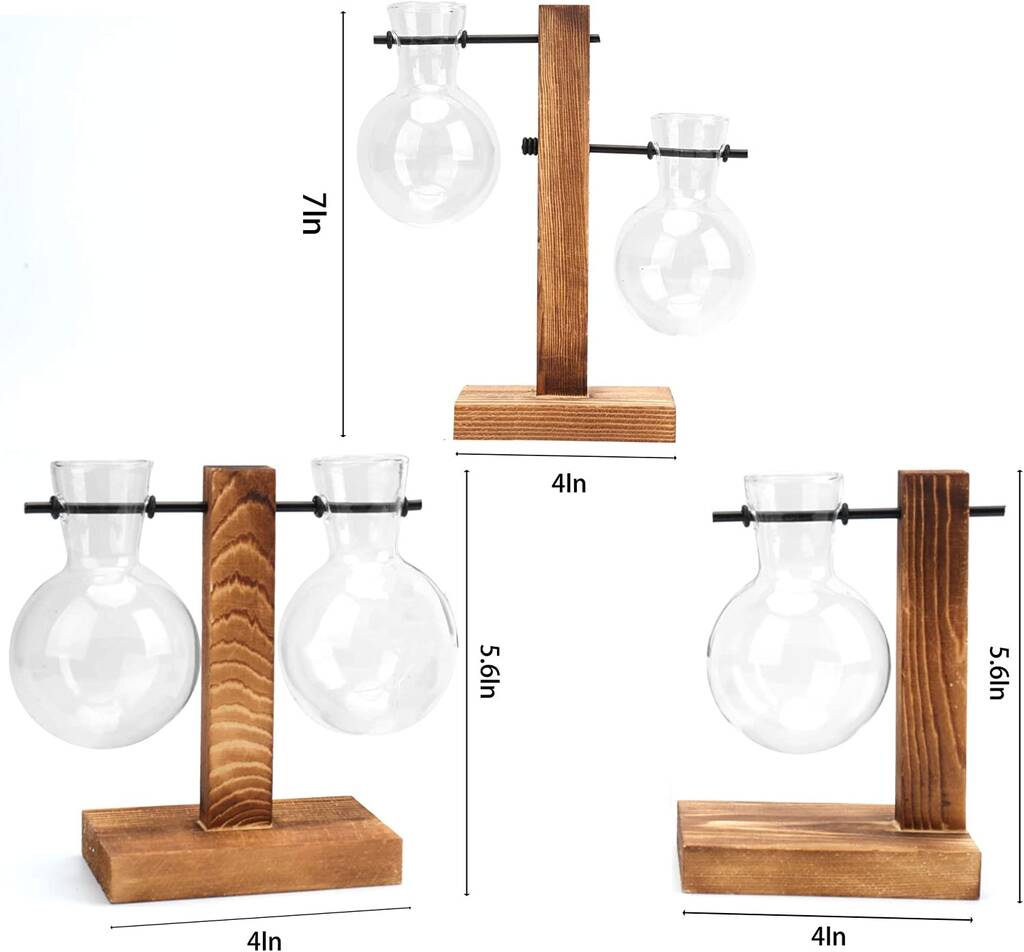 Five Glass Planter Bulb Vases With Retro Wooden Stand By Momentum