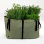 The Green Bag Reusable Planter, thumbnail 4 of 5