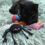 Cat Toy Hand Knitting Kit, thumbnail 4 of 11