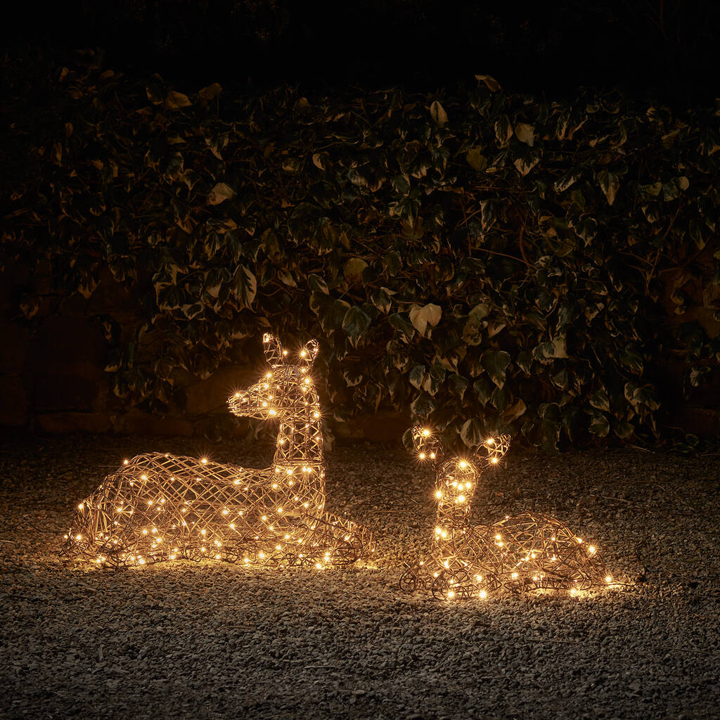 Studley Rattan Resting Doe And Fawn Light Up Reindeer, 1 of 3