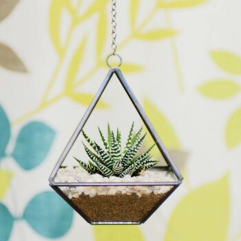 Small Geometric Glass Vase Succulent Terrarium Kit, 2 of 4