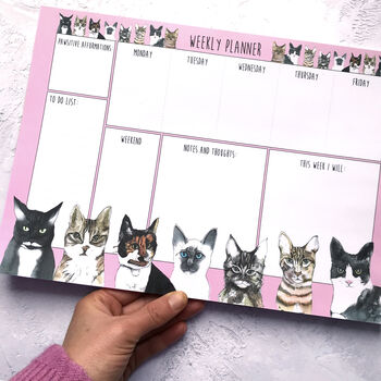 Cats Desk Weekly Planner Notepad, 5 of 5