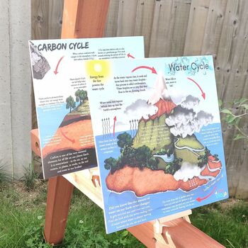 Water Cycle And Carbon Cycle Portable Boards, 4 of 10