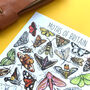 Moths Of Britain Watercolour Postcard, thumbnail 4 of 9