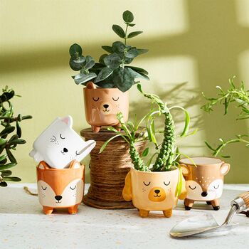 Mini Deer Planter On Legs, 3 of 3