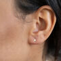Tiny Gold Filled Star Stud Earrings, thumbnail 4 of 10