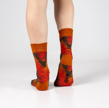 Bamboo Socks | Autumn Socks | Landscape Socks | Forest Socks | Novelty Socks, 3 of 5